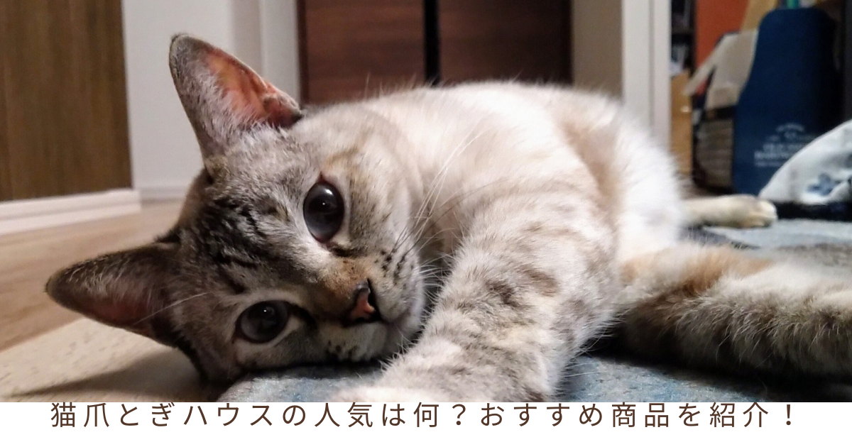 猫爪とぎハウスの人気は何？おすすめ商品を紹介！